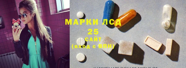 сатива Богородицк