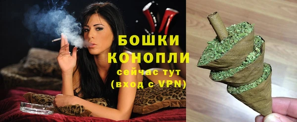 сатива Богородицк